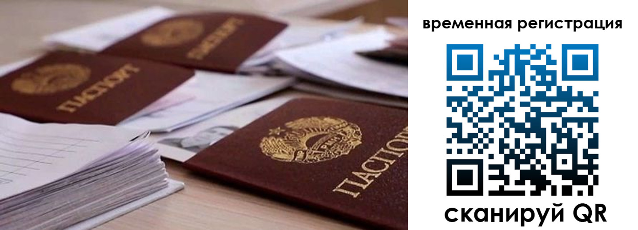 временная регистрация поиск в Сольцах