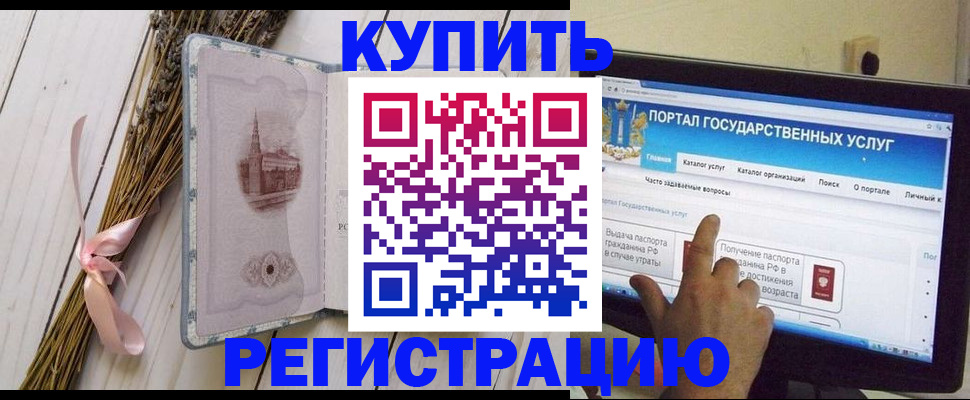 прописка поиск в Сольцах